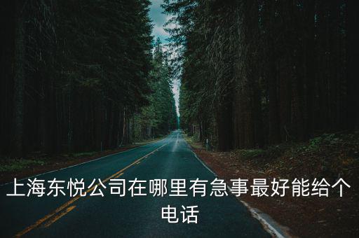 上海東悅公司在哪里有急事最好能給個電話