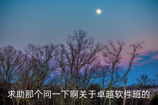 求助那個(gè)問一下啊關(guān)于卓越軟件班的