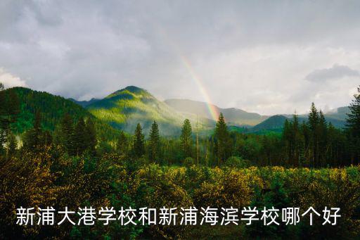 天津市大港區海濱學校張蕊，天津大港三號院海濱大道