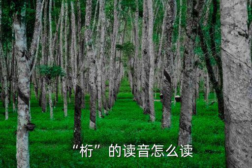 “桁”的讀音怎么讀