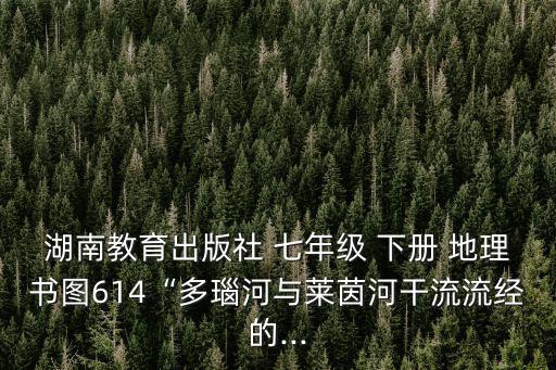 湖南教育出版社 七年級 下冊 地理書圖614“多瑙河與萊茵河干流流經的...