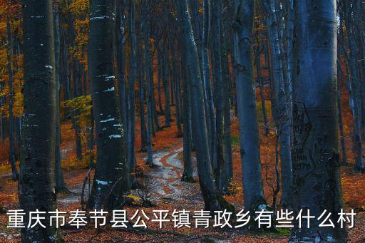 重慶市奉節縣公平鎮青正中心校，重慶市奉節縣青蓮中學在什么地方校長是誰