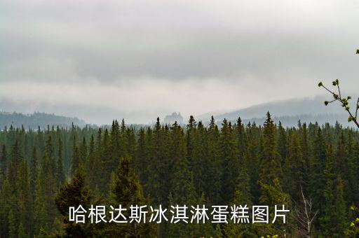 哈根達斯冰淇淋蛋糕圖片