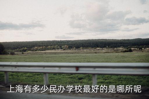 上海民辦平和學(xué)校，上海民辦大學(xué) 哪個(gè)好一點(diǎn)