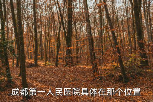 成都第一人民醫院具體在那個位置