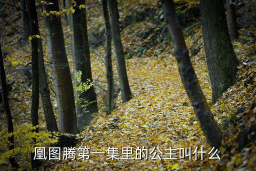 凰圖騰第一集里的公主叫什么