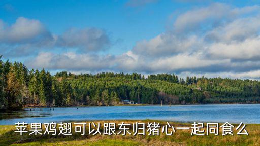 蘋果雞,雞肉和西桂豬心一起微波爐里吃