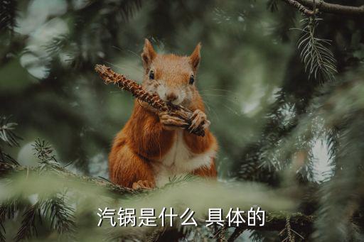 汽鍋，汽鍋怎么用