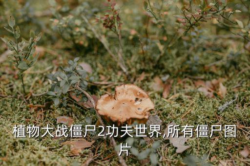 植物大戰僵尸2功夫世界,所有僵尸圖片