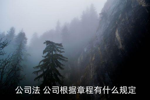 公司規(guī)定,律師:公司law根據(jù)章程有哪些內(nèi)容?