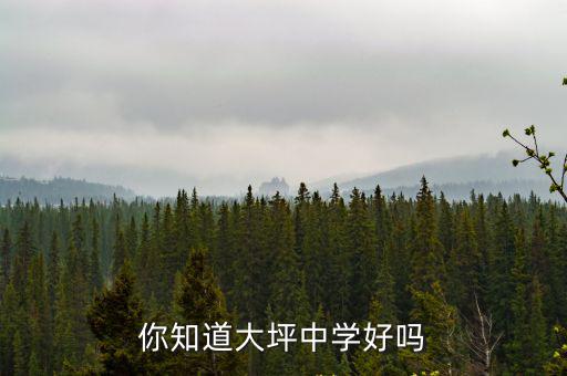 你知道大坪中學(xué)好嗎
