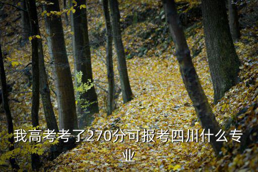 席盈成都市技師學院，我高考考了270分可報考四川什么專業