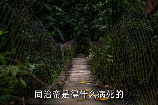 同治帝是得什么病死的