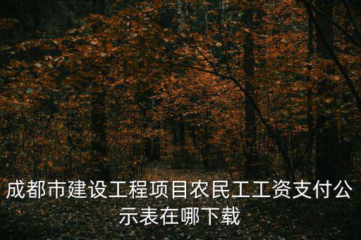 成都市建設(shè)工程項(xiàng)目農(nóng)民工工資支付公示表在哪下載
