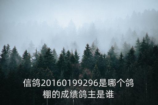 信鴿20160199296是哪個鴿棚的成績鴿主是誰