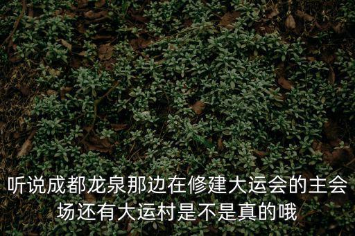 成都市大運村建設項目，聽說成都龍泉那邊在修建大運會的主會場還有大運村是不是真的哦