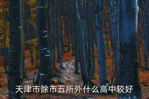 天津市伍千島，中國天津市南開區(qū)西湖道蘭坪路5號友幫敬心養(yǎng)老院有沒有地鐵可以去
