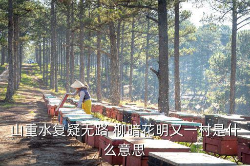 山重水復疑無路 柳暗花明又一村是什么意思