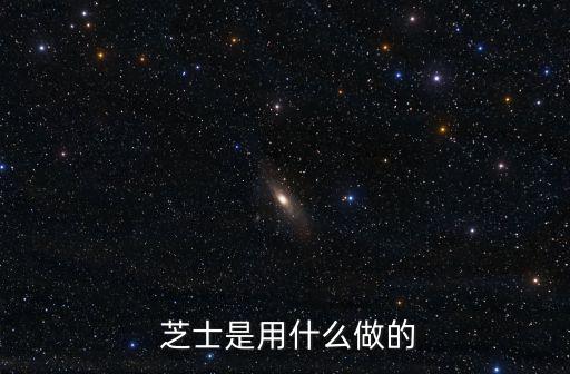  芝士是用什么做的