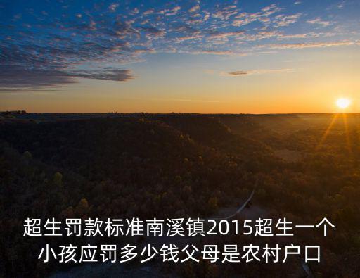 超生罰款標準南溪鎮2015超生一個小孩應罰多少錢父母是農村戶口