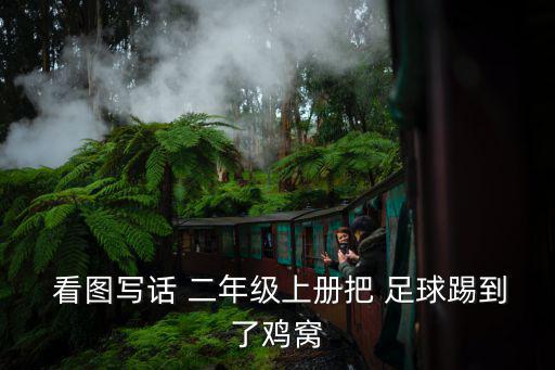 踢足球看圖寫話二年級,踢球差點撞到母雞小雞可以原諒你!
