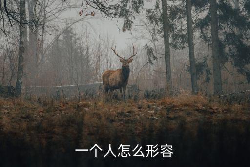 描寫一個人，怎么去描述一個人
