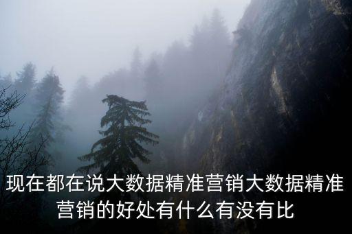 現在都在說大數據精準營銷大數據精準營銷的好處有什么有沒有比