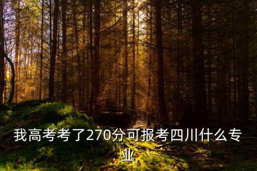 我高考考了270分可報考四川什么專業