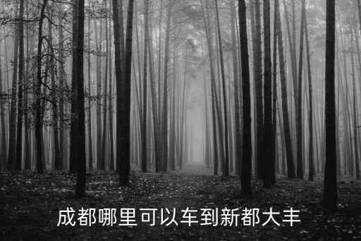 成都哪里可以車(chē)到新都大豐