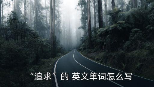 “追求”的 英文單詞怎么寫