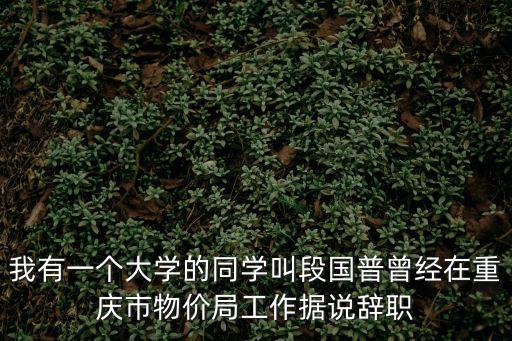 我有一個大學的同學叫段國普曾經在重慶市物價局工作據說辭職