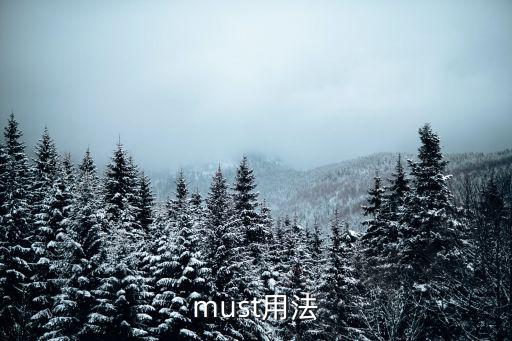 must用法