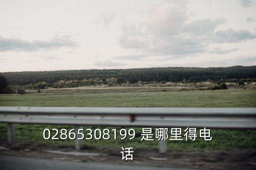 02865308199 是哪里得電話