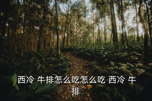  西冷 牛排怎么吃怎么吃 西冷 牛排