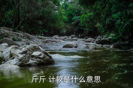 斤斤 計較是什么意思