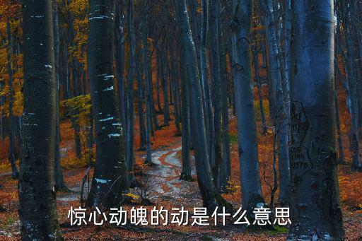 驚心動魄的動是什么意思