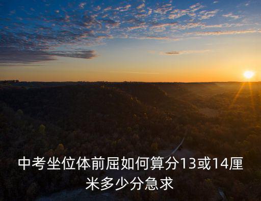 中考坐位體前屈如何算分13或14厘米多少分急求