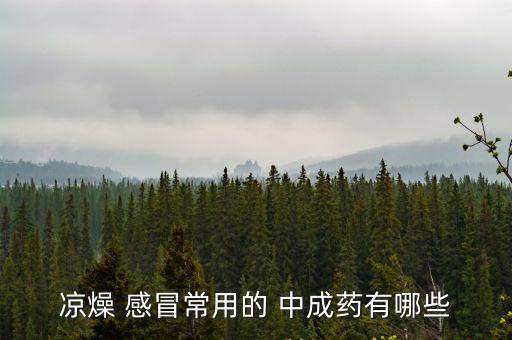 感冒中成藥有哪些,這些藥可調(diào)和所有的藥