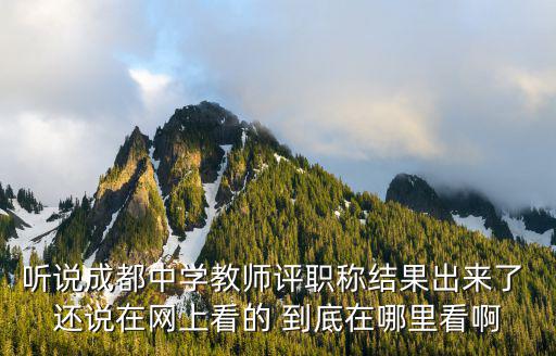 聽說成都中學教師評職稱結果出來了 還說在網上看的 到底在哪里看啊