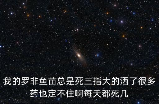 羅非魚苗，我的羅非魚苗總是死三指大的灑了很多藥也定不住啊每天都死幾