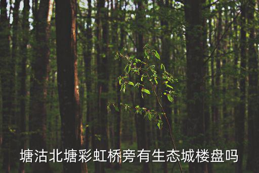 塘沽北塘彩虹橋旁有生態(tài)城樓盤嗎