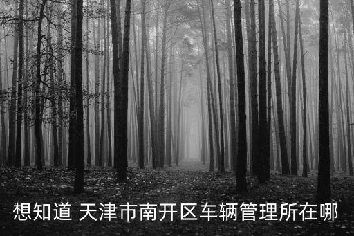 想知道 天津市南開區車輛管理所在哪