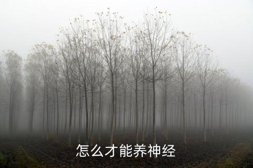 怎么才能養(yǎng)神經(jīng)