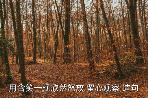 留心造句,一文讀懂!教育孩子的心路歷程