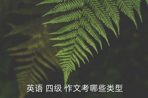  英語 四級 作文考哪些類型