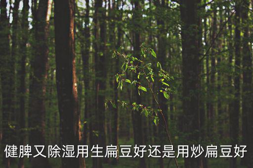 炒白扁豆的功效與作用，健脾又除濕用生扁豆好還是用炒扁豆好