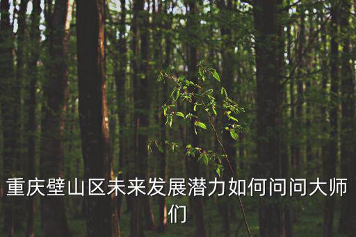 重慶壁山區未來發展潛力如何問問大師們