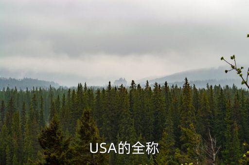 USA的全稱