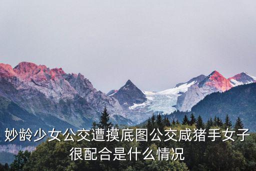 妙齡少女公交遭摸底圖公交咸豬手女子很配合是什么情況