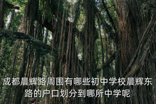 成都晨輝路周圍有哪些初中學(xué)校晨輝東路的戶口劃分到哪所中學(xué)呢